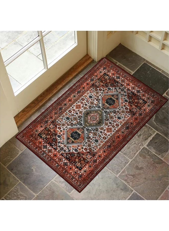 Anna Durable Non-Slip Crystal Velvet Absorbent Door Mat for Home Entry - Image 1