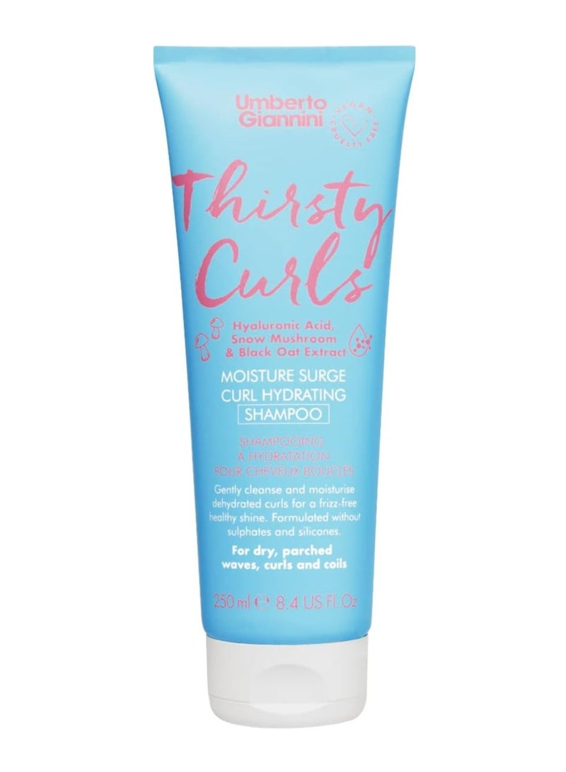 umberto Giannini Thirsty Curls Curl Hydrating Shampoo for Dry Dehydrated Curls 250ml - Image 1
