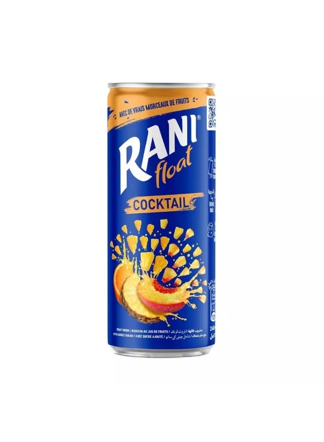 Rani Float Cocktail Mixed Fruit Juice With Real Fruit Pieces- 250ml