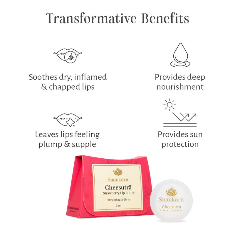 Shankara Gheesutr Strawberry Lip Butter Ayurvedic Lip Balm for Soothing Dry Inflamed and Chapped Lips Nourishment Moisturizing and Hydration up to 12 Hours Pack of 1 3ml - Image 4