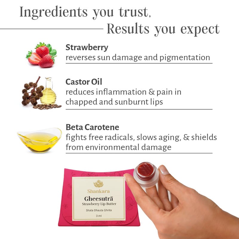 Shankara Gheesutr Strawberry Lip Butter Ayurvedic Lip Balm for Soothing Dry Inflamed and Chapped Lips Nourishment Moisturizing and Hydration up to 12 Hours Pack of 1 3ml - Image 3