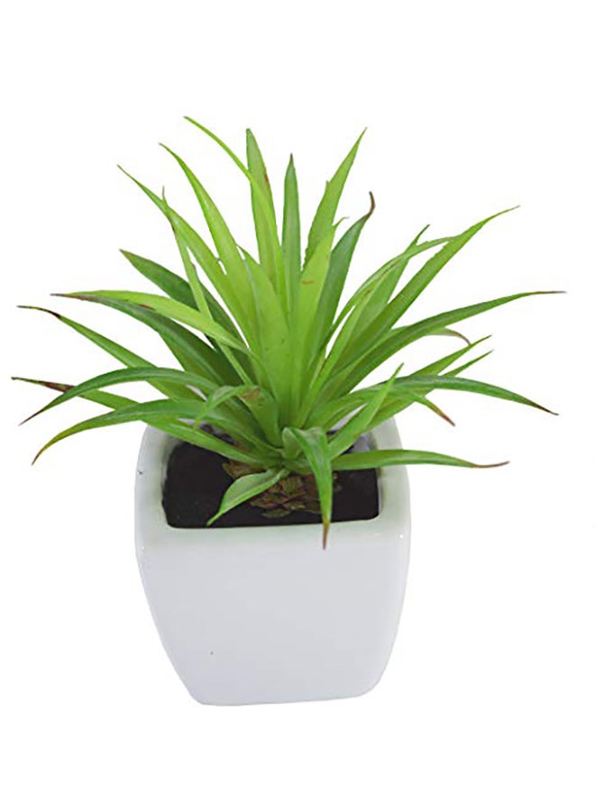 Fourwalls Artificial Mini Succulent Plant With Ceramic Vase Green 360grams - Image 1