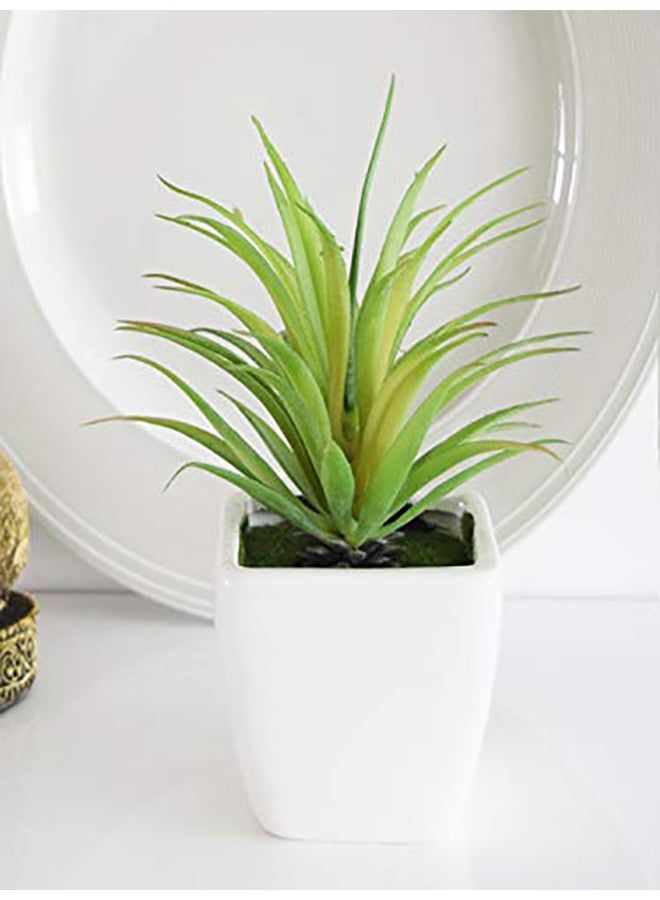 Fourwalls Artificial Mini Succulent Plant With Ceramic Vase Green 360grams - Image 2