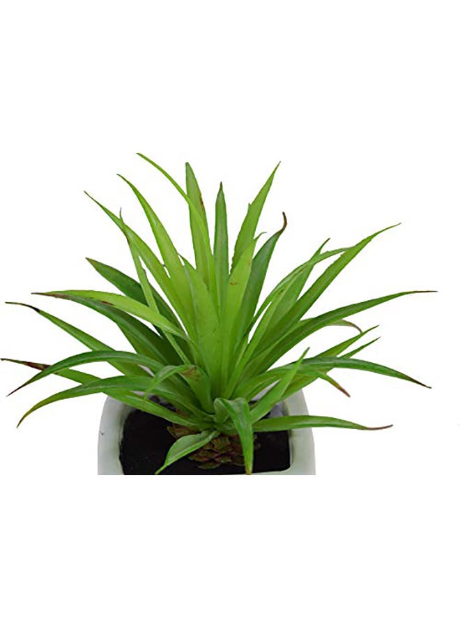 Fourwalls Artificial Mini Succulent Plant With Ceramic Vase Green 360grams - Image 3