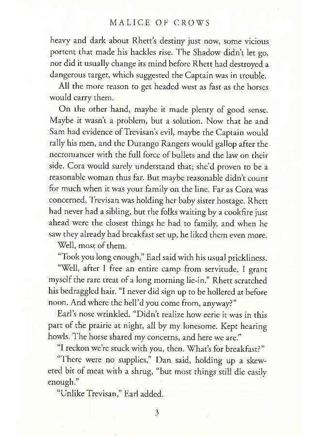 شر الطيور الغادرة - Image 4