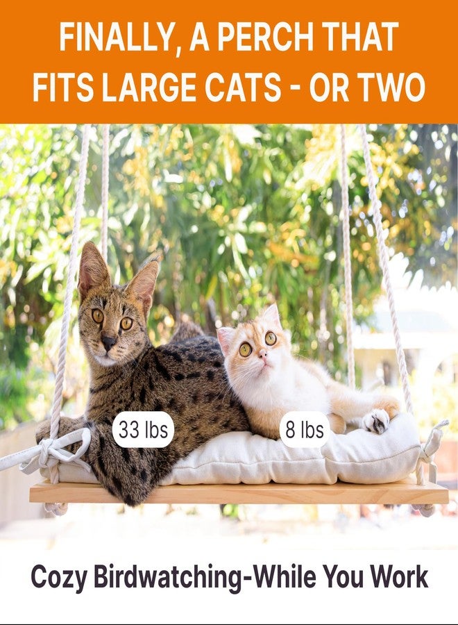 Furrfinity Cat Window Perch for Large Cats - Hammock Bed for Heavy Indoor Cats - Solid Wood Seat, 5 Strong Suction Cups, Soft Cushion - Rustic Shelf for Pets Inside - Image 2