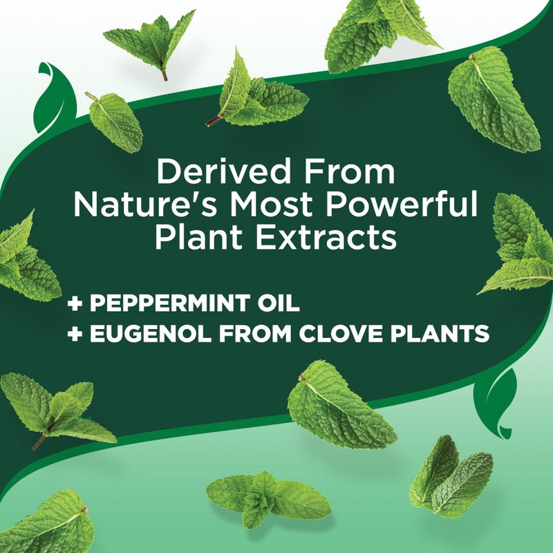 Vet's Best Vetâ€™s Best Flea and Tick Yard and Kennel Spray â€“ Natural Yard Treatment for Fleas, Ticks and Mosquitoes â€“ Plant and Pet Safe Outdoor Spray with Certified Natural Oils â€“ Made in USA â€“ 96 oz Refill - Image 5