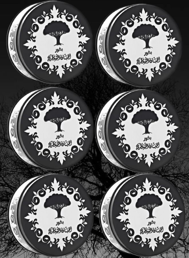 6 Pieces Bakhoor Luban Socatri 70 g