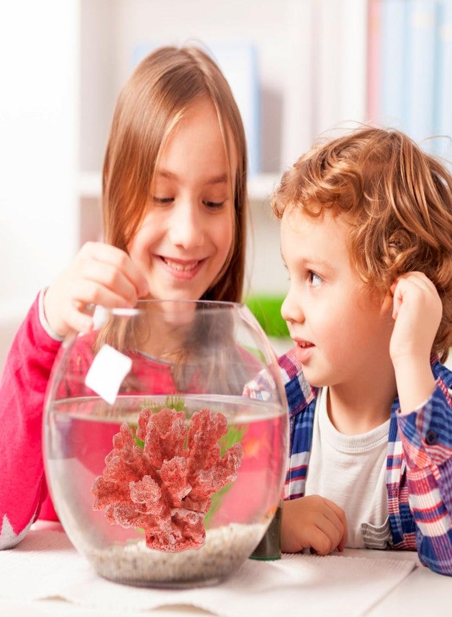 بو بيت بوب زينة مرجانية اصطناعية من POPETPOP، ديكور مرجاني مزيف، نباتات بحرية تحت الماء، زينة نباتات لحوض السمك، إكسسوارات لحوض سمك بيتا - Image 5