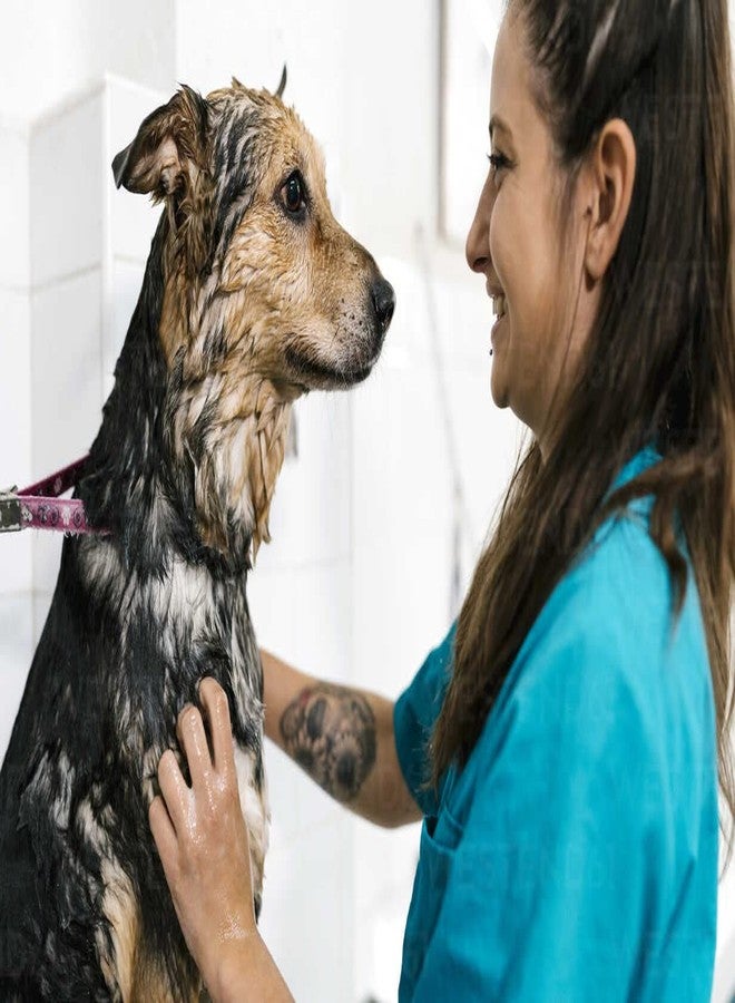 Hachiko:-5 IN 1 Dog Shampoo+Flea & Tick Dog Shampoo| Ditch to Itch 500ml | Dog Shampoo for Labrador, German Shepherd, Golden Retriever, Anti Dandruff, Pet Shampoo for Dogs, Paraben Free, Ticks and Fleas Remover for Dogs(Combo of 2) - Image 5