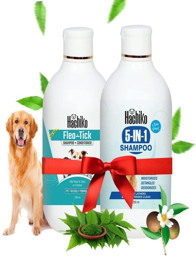Hachiko:-5 IN 1 Dog Shampoo+Flea & Tick Dog Shampoo| Ditch to Itch 500ml | Dog Shampoo for Labrador, German Shepherd, Golden Retriever, Anti Dandruff, Pet Shampoo for Dogs, Paraben Free, Ticks and Fleas Remover for Dogs(Combo of 2) - Image 1