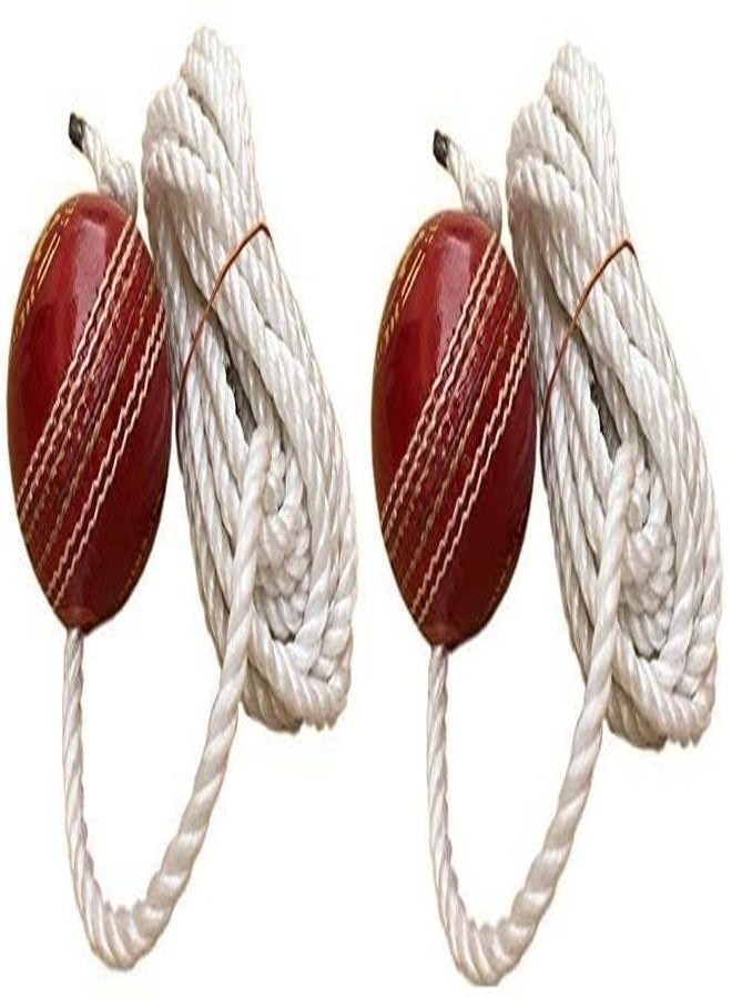 ZINGARO Red Leather Cricket Hanging Ball( Pack of 2 ) 2 Piece Ball - Image 1