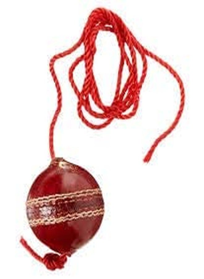 ZINGARO Red Leather Cricket Hanging Ball( Pack of 2 ) 2 Piece Ball - Image 3