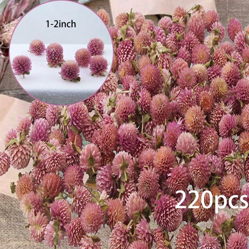 CITYES 220 Pcs Dried Flower Heads for Crafts Pink Globe Amaranth Dried Flowers Heads Bulk Natural Dried Gomphrena Globosa Flower Dry Flower Arrangements for Wedding Decor Home Party Headband DIY - Image 2