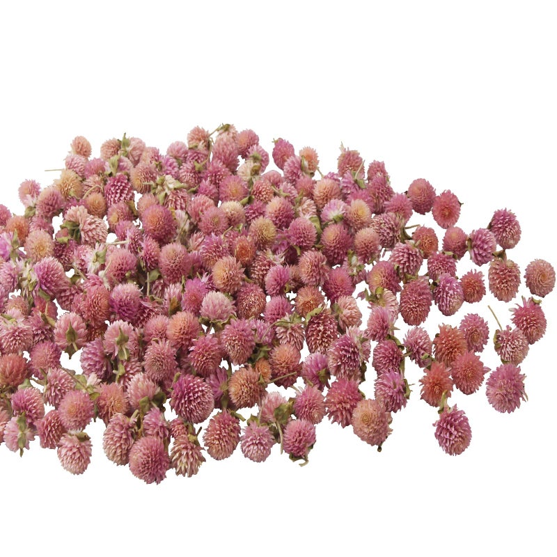 CITYES 220 Pcs Dried Flower Heads for Crafts Pink Globe Amaranth Dried Flowers Heads Bulk Natural Dried Gomphrena Globosa Flower Dry Flower Arrangements for Wedding Decor Home Party Headband DIY - Image 1
