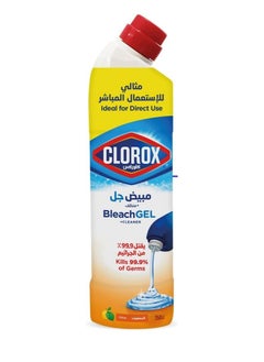 Clorox Multi-Purpose Bleach Gel Disinfectant Cleaner, Citrus Scent, 750Ml (Packaging may vary) - pzsku/ZCFD6849706CE87FAF3ECZ/45/_/1700509672/14fe885f-74f5-45b1-a90e-b47e05fab044