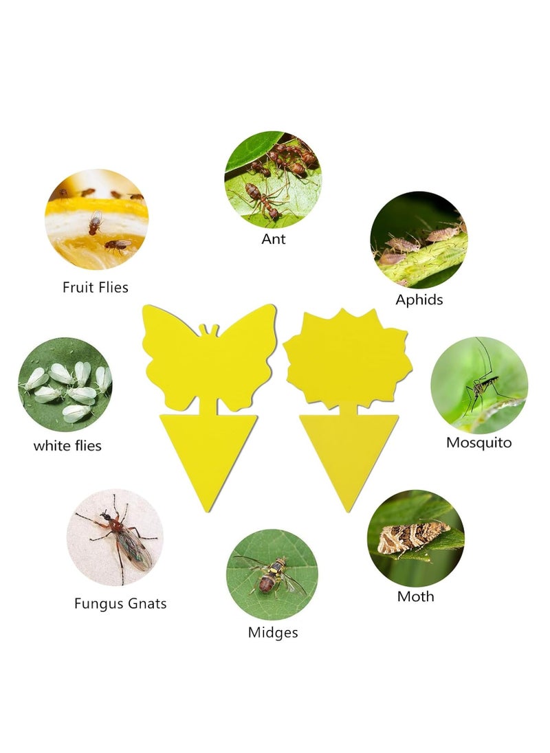 General Fruit Fly Gnat Traps for House Indoor, 36 Pack Yellow Sticky Traps for Gnat Indoor Outdoor Plants and Kitchen, Fungus Gnat Killer for Houseplant, Mosquitos and Flying Insect  - Image 4