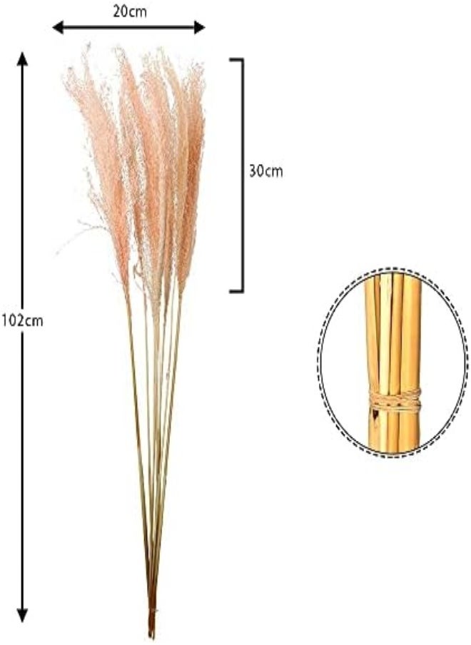 Yatai - Natural Dried Pampas Grass Flowers Spray Preserved Flower Branches Wholesale Dried Feather Grass Stems for Home Table Vase Centerpiece (Pink) - Image 1