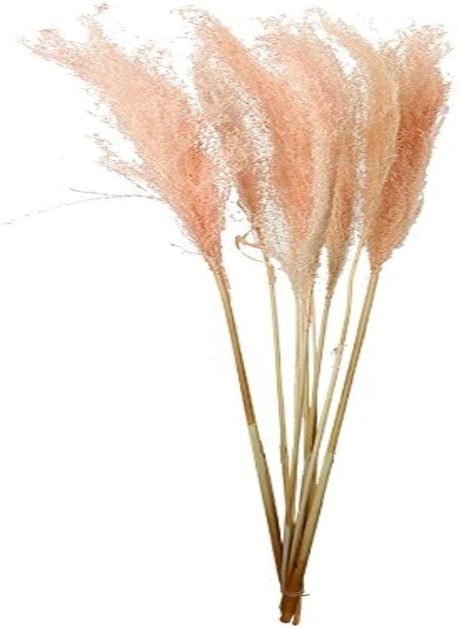 Yatai - Natural Dried Pampas Grass Flowers Spray Preserved Flower Branches Wholesale Dried Feather Grass Stems for Home Table Vase Centerpiece (Pink) - Image 1