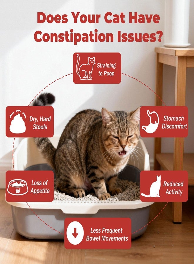 VivaElixir مُليّن براز للقطط لعلاج الإمساك، (30 قطعة × 12 غرام) تركيبة طبيعية ولطيفة، يُحسّن حركة الأمعاء، يحتوي على البروبيوتيك ويُحسّن صحة الجهاز الهضمي - Image 4