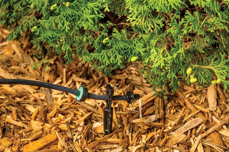 Rainbird CVD2010PKXS Drip Irrigation Dripper/Emitter with Built-in Check Valve, 2 Gallon Per Hour, 10-Pack - Image 4