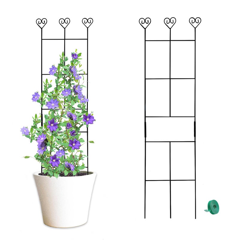 Hensal 2 Pack 30 Plant Trellis for Climbing Plants Indoors Metal Garden Trellis for Potted Houseplant Rustproof Plant Support for Ivy Vines Pothos Hoya and Flower Black - Image 2