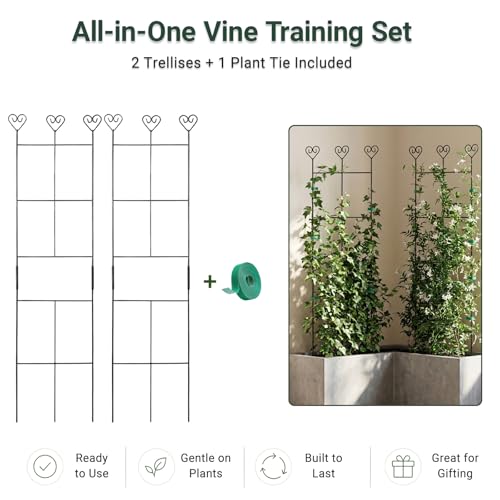 Hensal 2 Pack 30 Plant Trellis for Climbing Plants Indoors Metal Garden Trellis for Potted Houseplant Rustproof Plant Support for Ivy Vines Pothos Hoya and Flower Black - Image 3