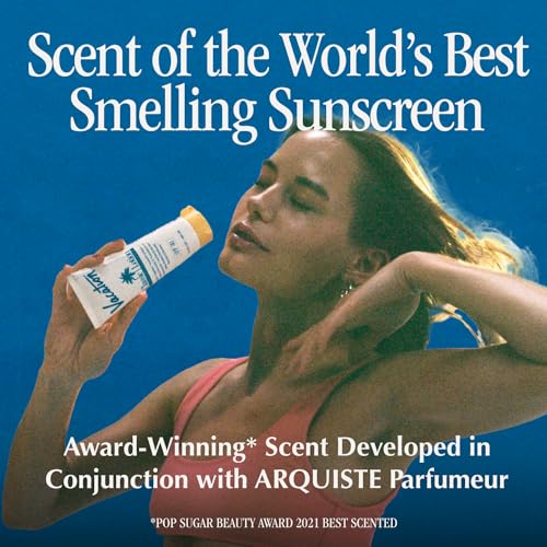 Vacation Hanging Air Freshener, Award-Winning Signature Sunscreen Scent, Deodorizer for Car, Home & Office (Pack of 3) - Image 3