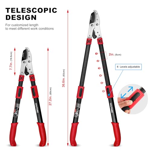 HAUTMEC Anvil Loppers for Tree Trimming Heavy Duty, Extendable 27-37'' Garden Bypass Loppers with Compound Action System, 2" Cutting Capacity, Labor-Saving Tree Trimmer for Yard, Lawn Branch Cutter - Image 4