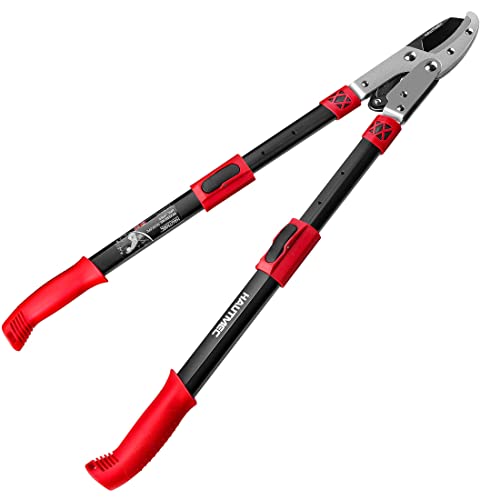 HAUTMEC Anvil Loppers for Tree Trimming Heavy Duty, Extendable 27-37'' Garden Bypass Loppers with Compound Action System, 2" Cutting Capacity, Labor-Saving Tree Trimmer for Yard, Lawn Branch Cutter - Image 1