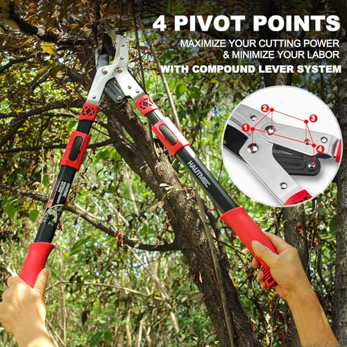 HAUTMEC Anvil Loppers for Tree Trimming Heavy Duty, Extendable 27-37'' Garden Bypass Loppers with Compound Action System, 2" Cutting Capacity, Labor-Saving Tree Trimmer for Yard, Lawn Branch Cutter - Image 3