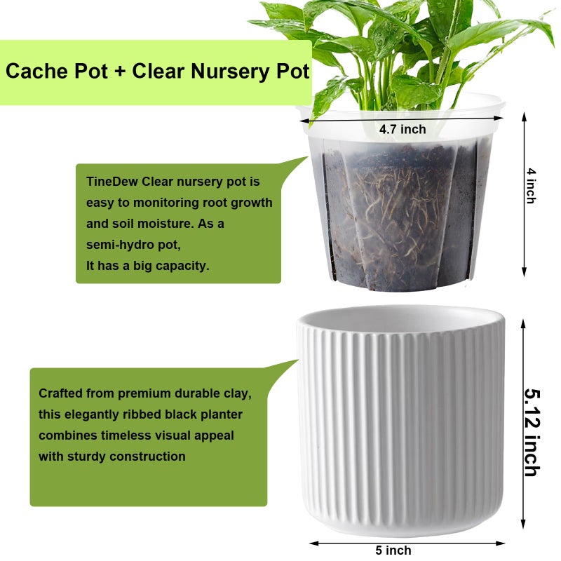 TineDew 2 Pack of 5in Ceramic Cachepot with 5 inch Clear nusery Pot - self Watering Indoor Planter with Drainage for Root Visibility,semi Hydro pots for repotting Orchid,White - Image 2
