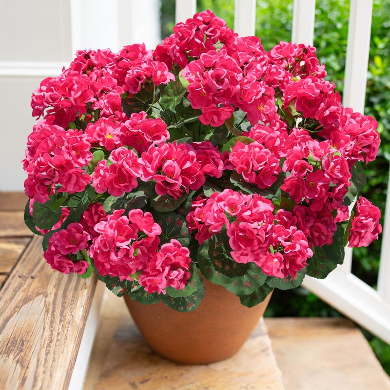 HyeFlora Artificial Geranium Fake Flowers for Outdoors Decoration, 6 Bundles Silk Geraniums Flower UV Resistant Look Real Faux Plants for Outside Planter Front Door Garden Patio Balcony Yard Home, Hot Pink - Image 1