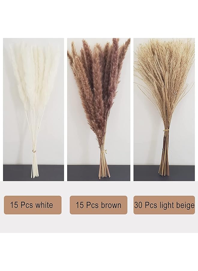 Arabest Pampas Grass Decor Decor Bouquet 60Pcs Natural Dried Flowers Natural Plants For Home Decor Wedding Dried Flower Arrangements 15Pcs White Pampas And 15Pcs Brown Pampas And 30Pcs Reed Grass  - Image 3