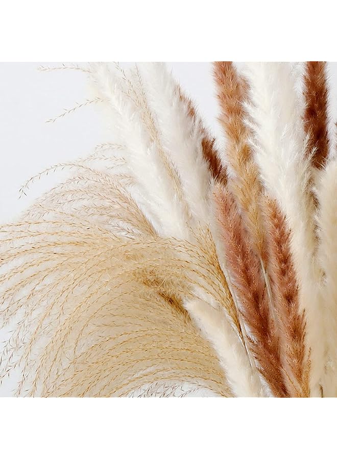 Arabest Pampas Grass Decor Decor Bouquet 60Pcs Natural Dried Flowers Natural Plants For Home Decor Wedding Dried Flower Arrangements 15Pcs White Pampas And 15Pcs Brown Pampas And 30Pcs Reed Grass  - Image 5