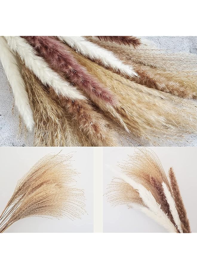 Arabest Pampas Grass Decor Decor Bouquet 60Pcs Natural Dried Flowers Natural Plants For Home Decor Wedding Dried Flower Arrangements 15Pcs White Pampas And 15Pcs Brown Pampas And 30Pcs Reed Grass  - Image 2
