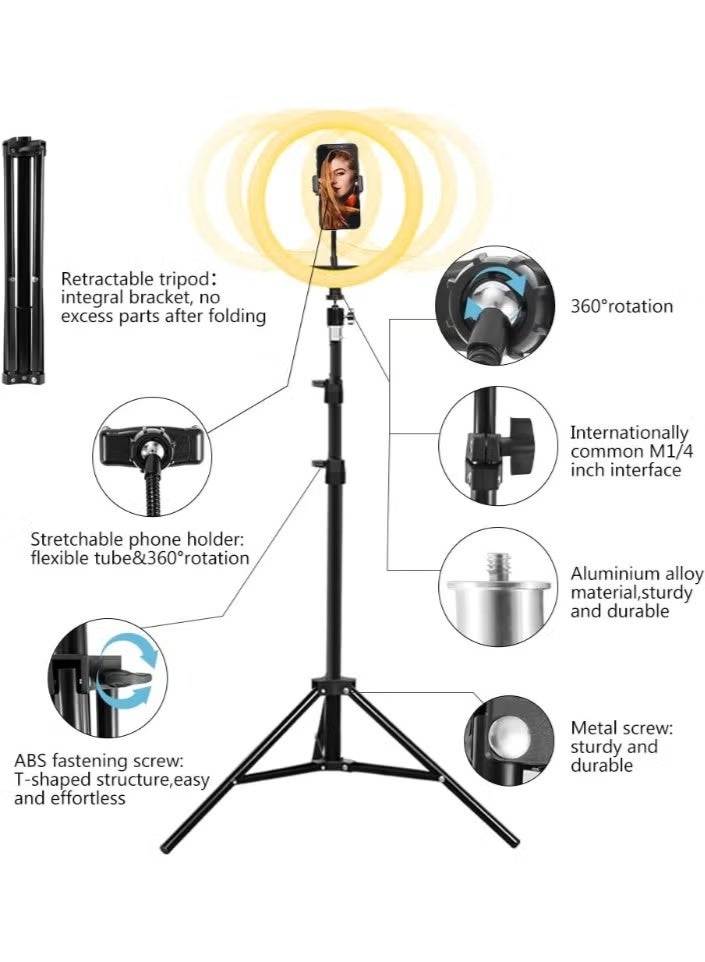 رينج لايت LED مقاس 10 بوصة مع حامل ثلاثي قابل للتعديل وحامل للهاتف، 3 أوضاع إضاءة و10 مستويات سطوع للتصوير والسيلفي والبث المباشر وصناعة المحتوى - Image 1
