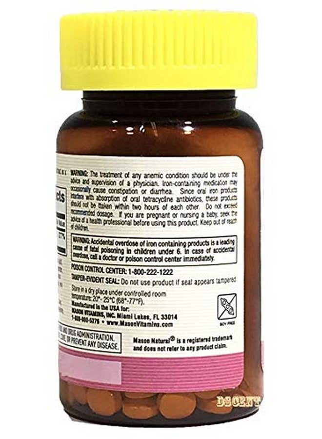 Mason Natural 3 Pack Special of Mason Natural Slow Release Iron (Slow FE) Bottled 60 Tablets per Bottle - Image 4