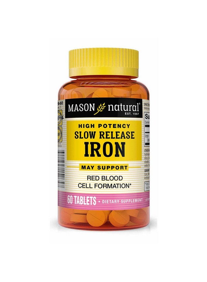 Mason Natural 3 Pack Special of Mason Natural Slow Release Iron (Slow FE) Bottled 60 Tablets per Bottle - Image 1