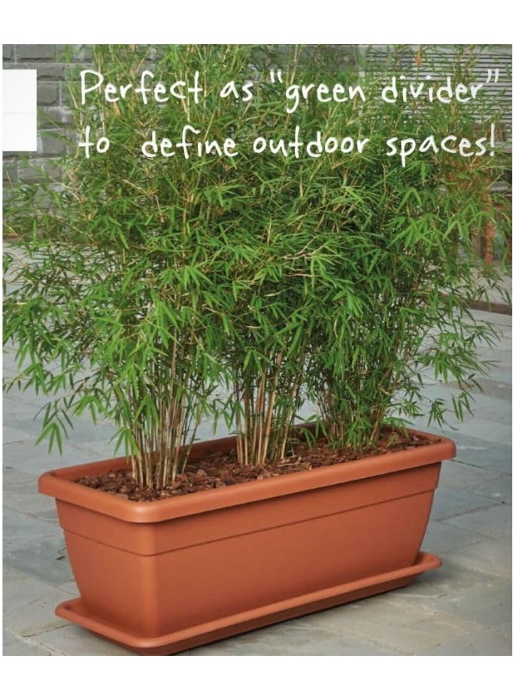 Idel Large Rectangular Raised Garden Planter Box 80x37x32 cm – 60L Plastic Pot for Outdoor Plants, Flowers, Herbs & Vegetables – Durable Container for Balcony, Patio, Terrace by Idel - Image 3