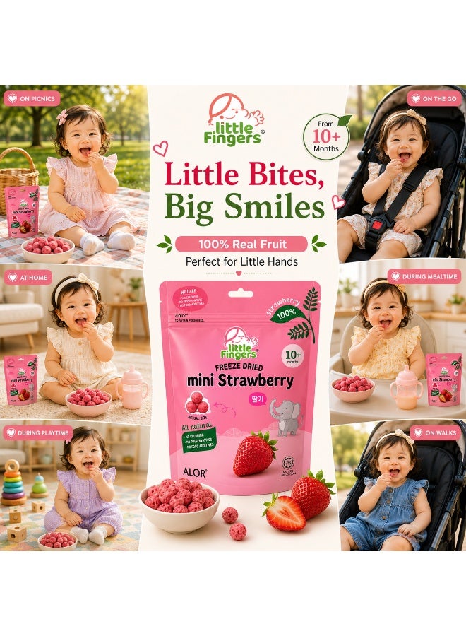 ألور سيجنتشر الإمارات العربية المتحدة وجبة "ليتل فينجرز" (Little Fingers) الخفيفة من قطع الفراولة الصغيرة المجففة بالتجميد (15 جم) | فراولة طبيعية 100% | بدون سكر مضاف | وجبة خفيفة للأطفال خالية من الغلوتين | مناسبة للأطفال من عمر 10 أشهر فما فوق - Image 5