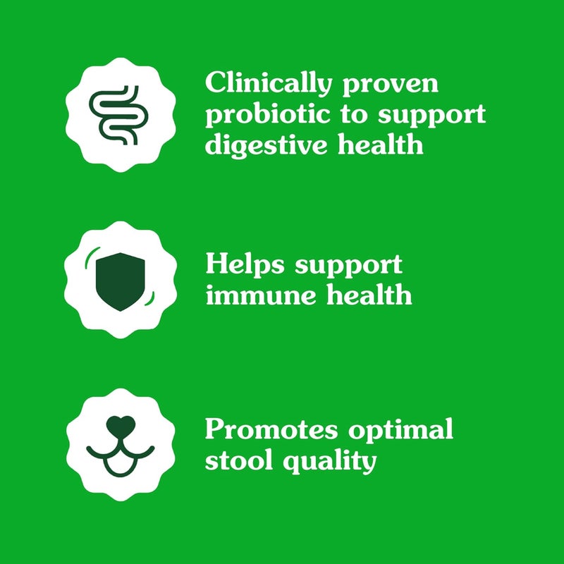 Greenies Supplements Digestive Health Probiotics for Dogs Chicken Flavor, 15.6 oz. Tub of 80 ct. - Image 5