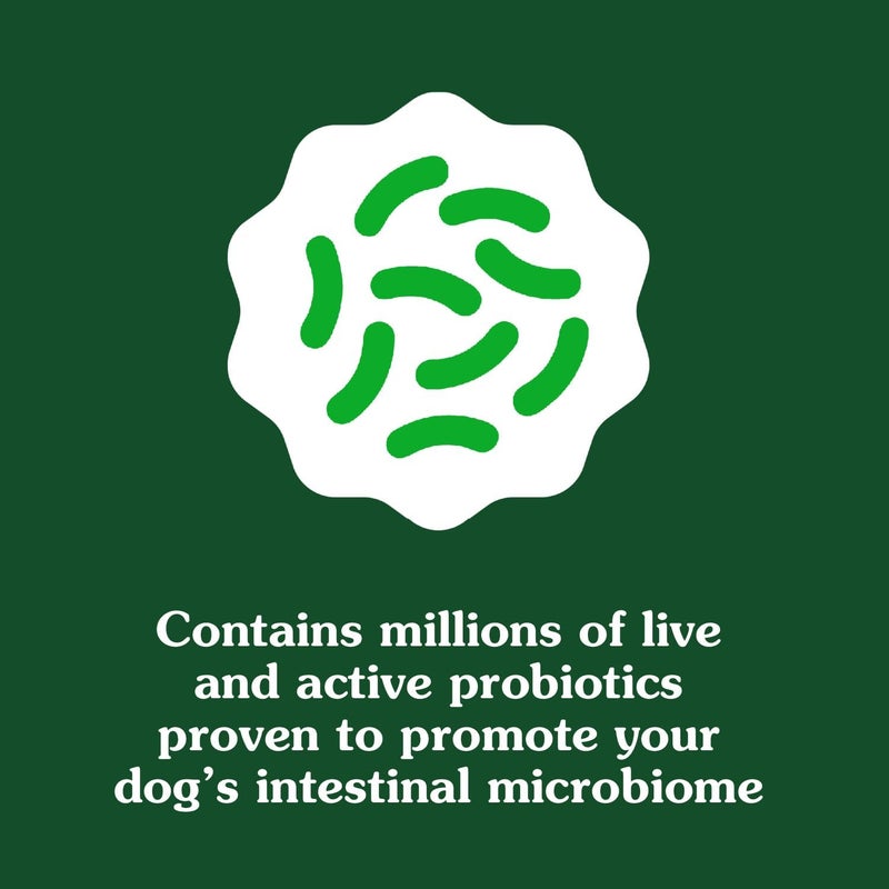 Greenies Supplements Digestive Health Probiotics for Dogs Chicken Flavor, 15.6 oz. Tub of 80 ct. - Image 4