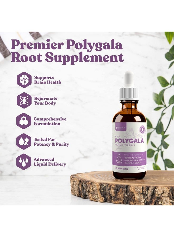 Rejuvica Health Active Polygala - Advanced Polygala Root Extract - Yuan Zhi - Liquid Delivery for Better Absorption - Supports Brain Health  - Image 2
