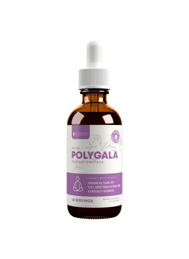Rejuvica Health Active Polygala - Advanced Polygala Root Extract - Yuan Zhi - Liquid Delivery for Better Absorption - Supports Brain Health  - Image 1