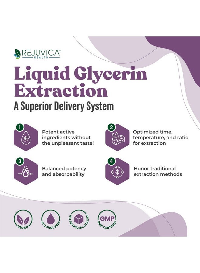 Rejuvica Health Active Polygala - Advanced Polygala Root Extract - Yuan Zhi - Liquid Delivery for Better Absorption - Supports Brain Health  - Image 3