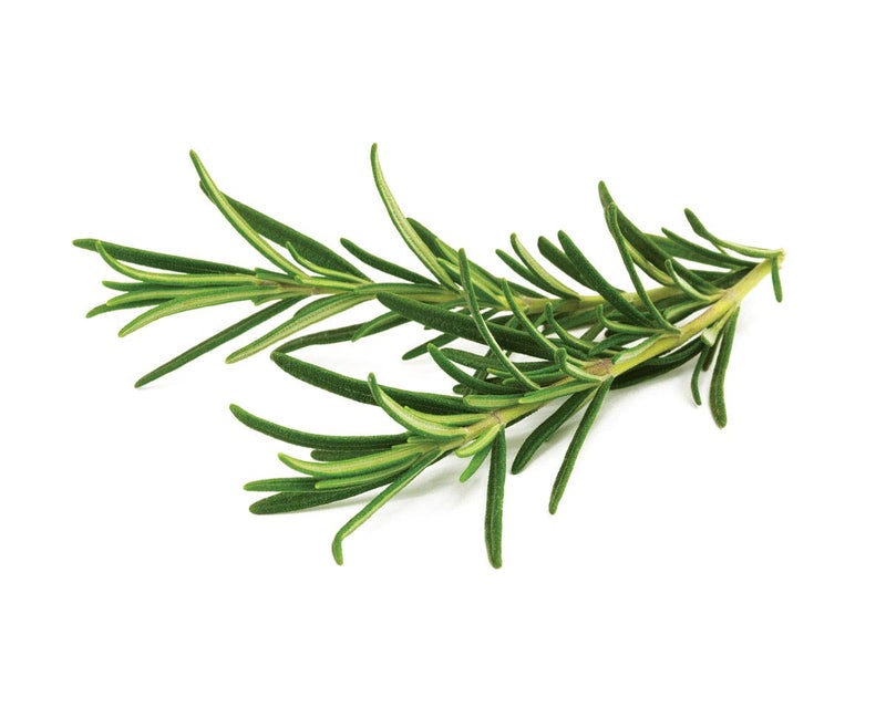 Click and Grow Smart Garden Rosemary Plant Pods, 3-Pack - Image 3