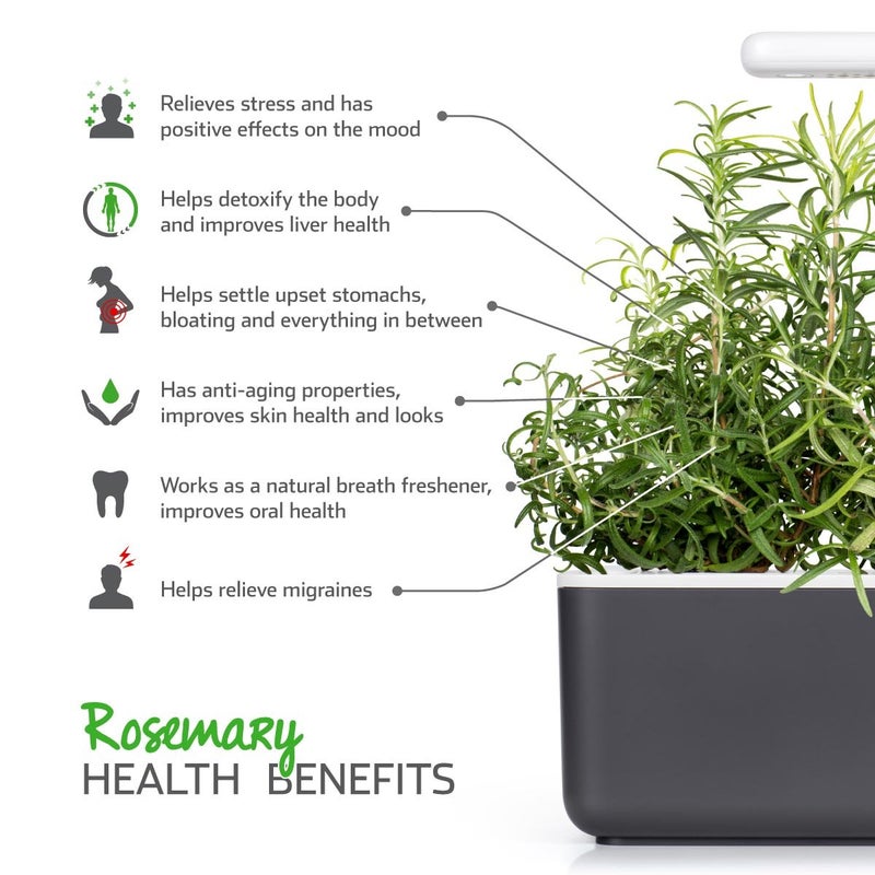 Click and Grow Smart Garden Rosemary Plant Pods, 3-Pack - Image 5