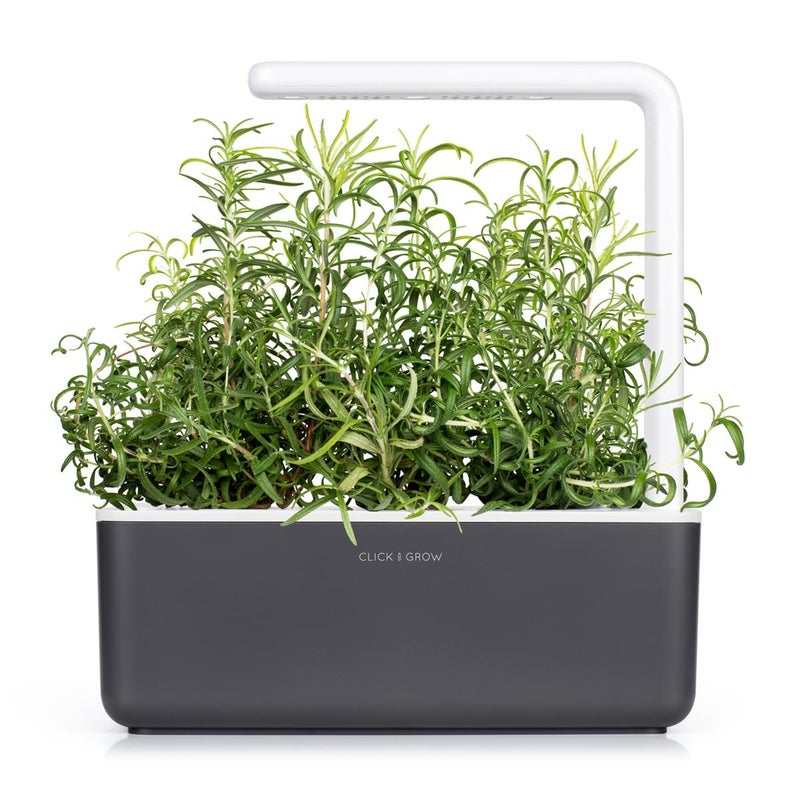 Click and Grow Smart Garden Rosemary Plant Pods, 3-Pack - Image 4