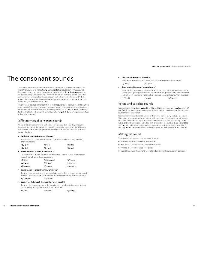 Accent: B1-C2  - Image 2
